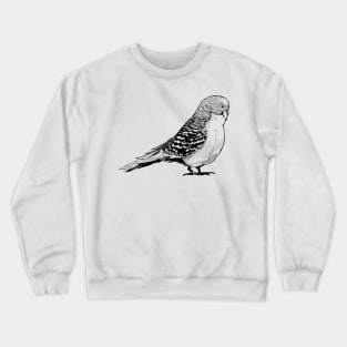 Parakeet Budgie Hand Drawn Crewneck Sweatshirt